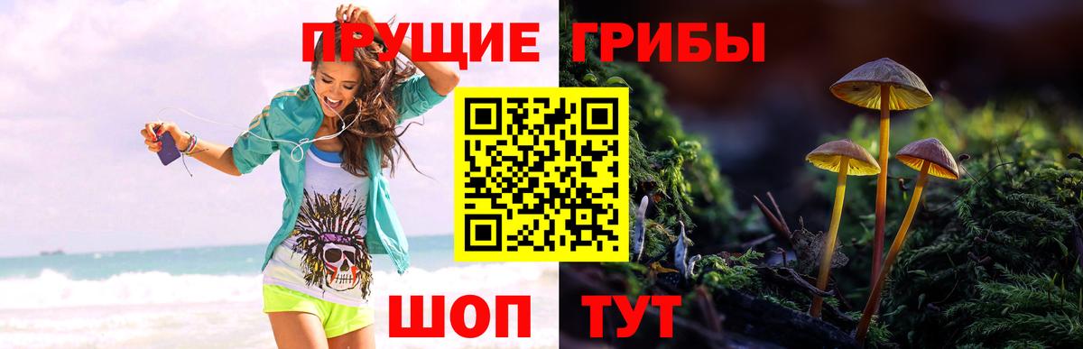 Нарткала  Галлюциногенные грибы MAGIC MUSHROOMS  Вход с VPN  Галлюциногенные грибы мицелий 